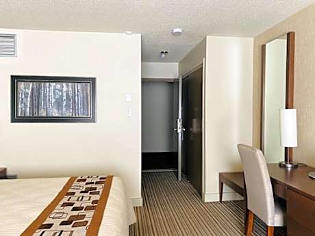 Queen Room Excelsior