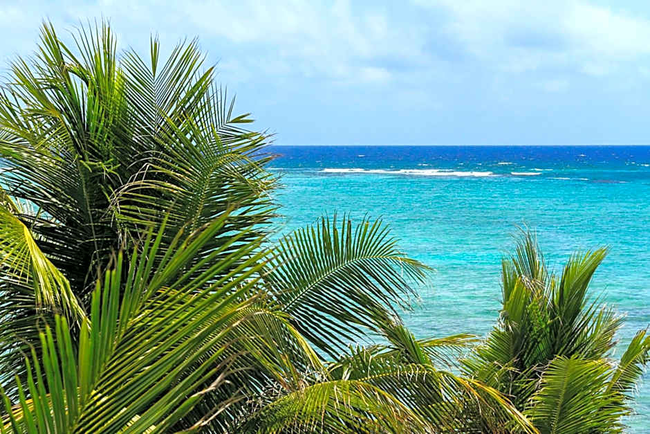 Cielo Maya Beach Tulum