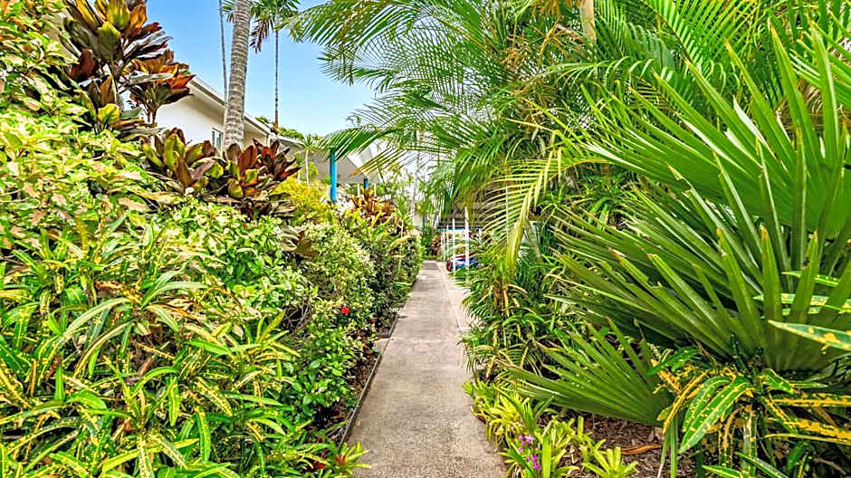 Trinity Beach Pacific