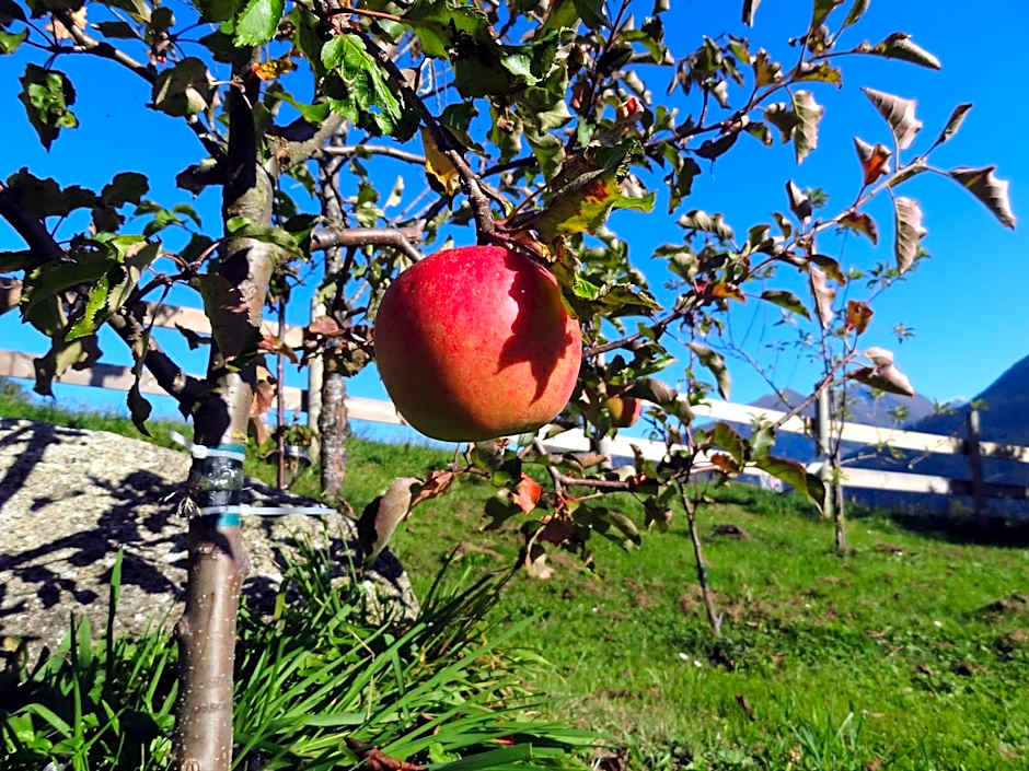 Aparthotel Hohe Brücke