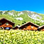 Résidence Odalys Les Chalets de l'Arvan II
