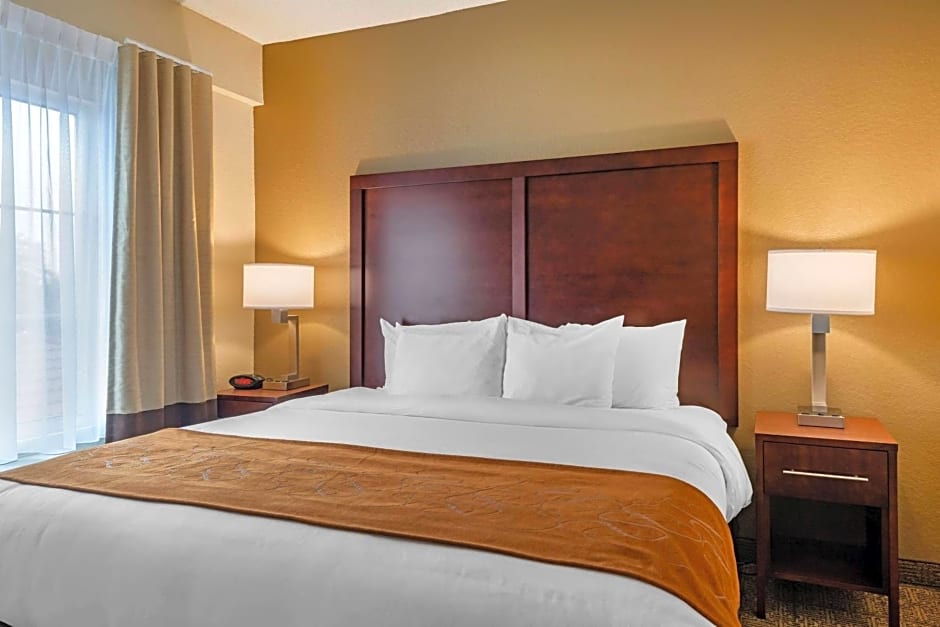 Comfort Suites Downtown