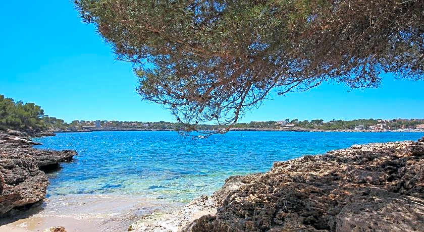 Apartamentos Niu D Aus