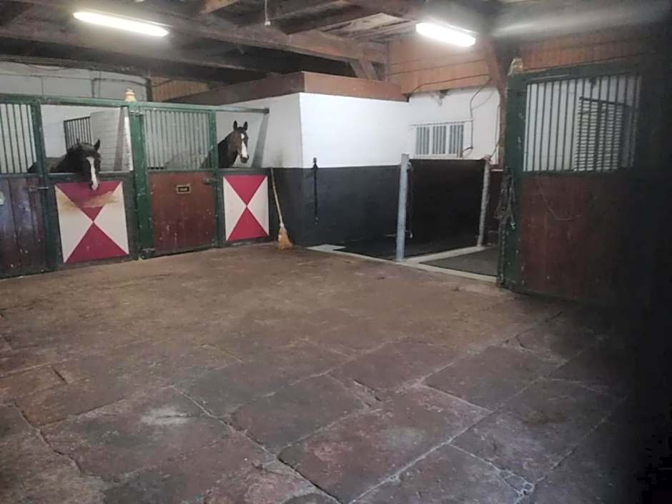 Erve Het Roolvink Boerderij Appartementen 40-50 M2