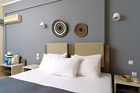 Double or Twin Room with Mountain View