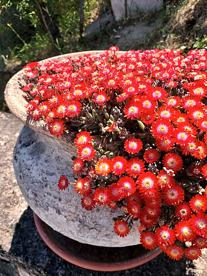 Montebello Park Hotel