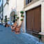 Residenza D'Epoca La Basilica