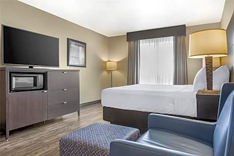 King Room - Non-Smoking