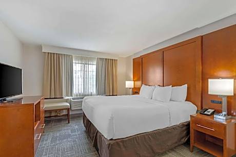 King Suite with Sofa Bed and Balcony - Non-Smoking (No Pets Allowed)