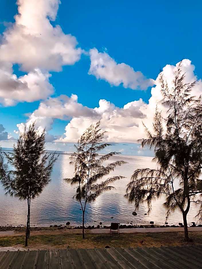 Bon Vivant Front de Mer - Ile Rodrigues