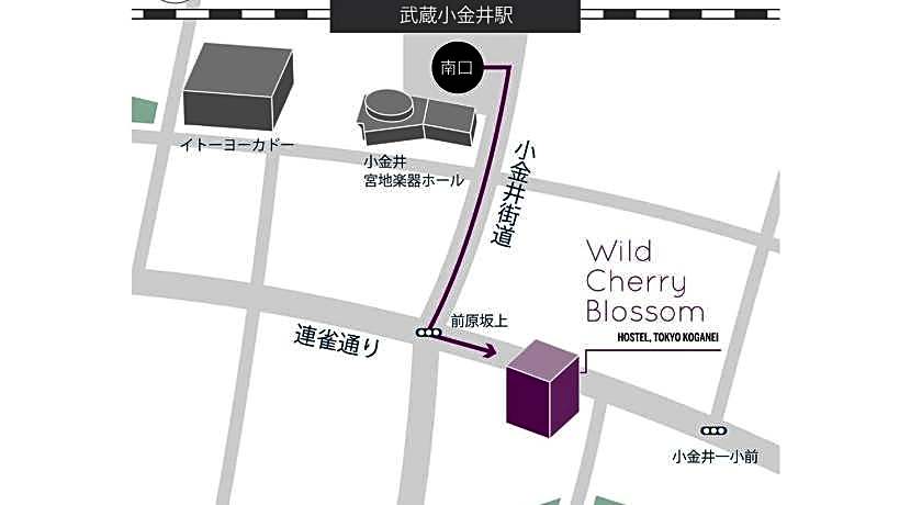 Wild Cherry Blossom HOSTEL,TOKYO KOGANEI