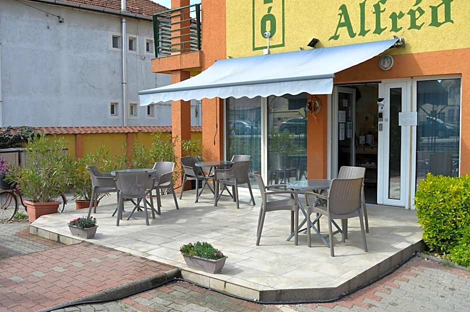 Alfréd Panzió