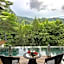 The Shorea