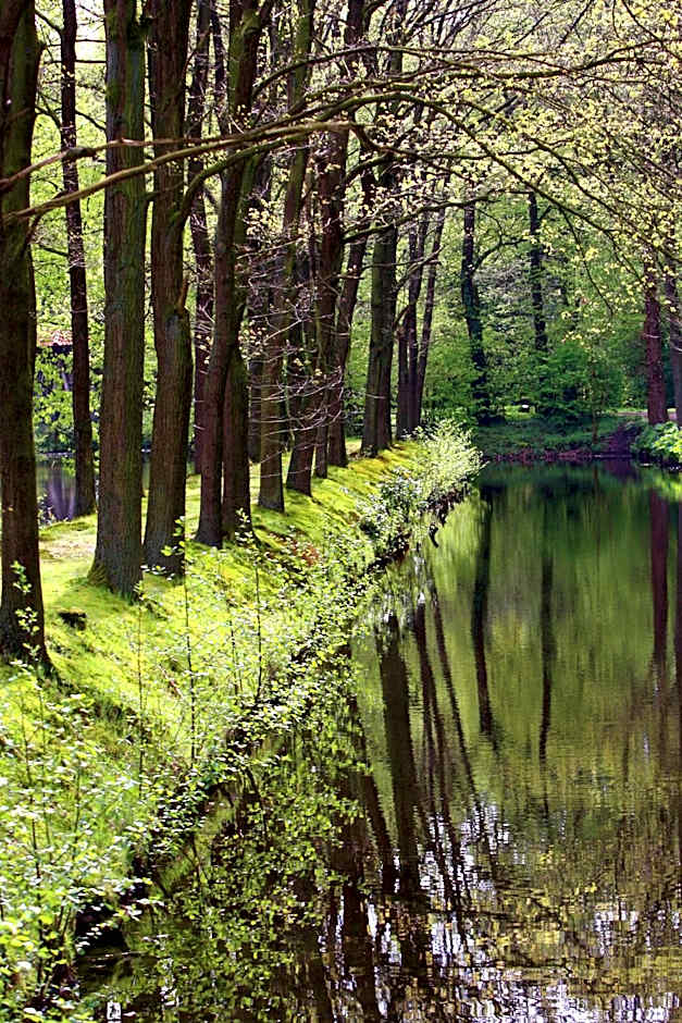 VILA VITA Burghotel Dinklage