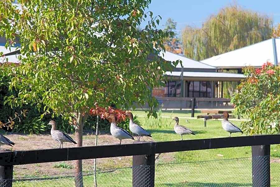 Potters Hotel & Brewery