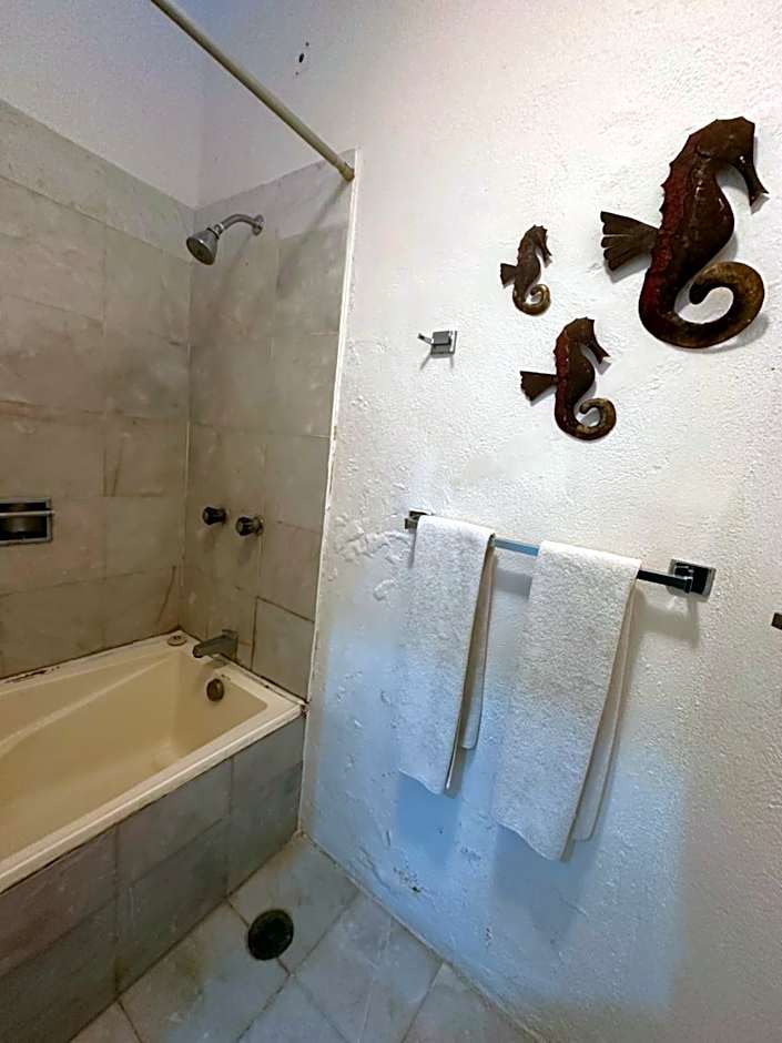 HAB PTa B ÁREA DE VILLAS DENTRO DEL HOTEL Junto al Krystal EN IXTAPA WIFI 2A 1M Con playa
