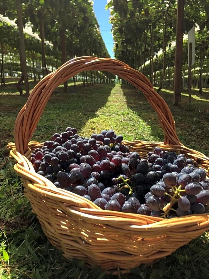 Casas na montanha - Villa Montegrappa