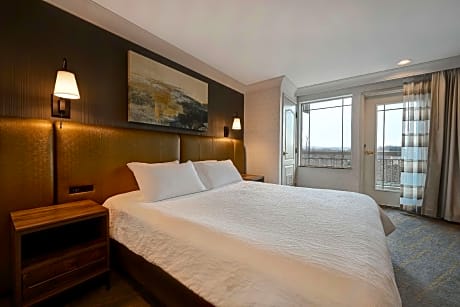 1 KING 1 BEDROOM WHIRLPOOL SUITE SOFABED