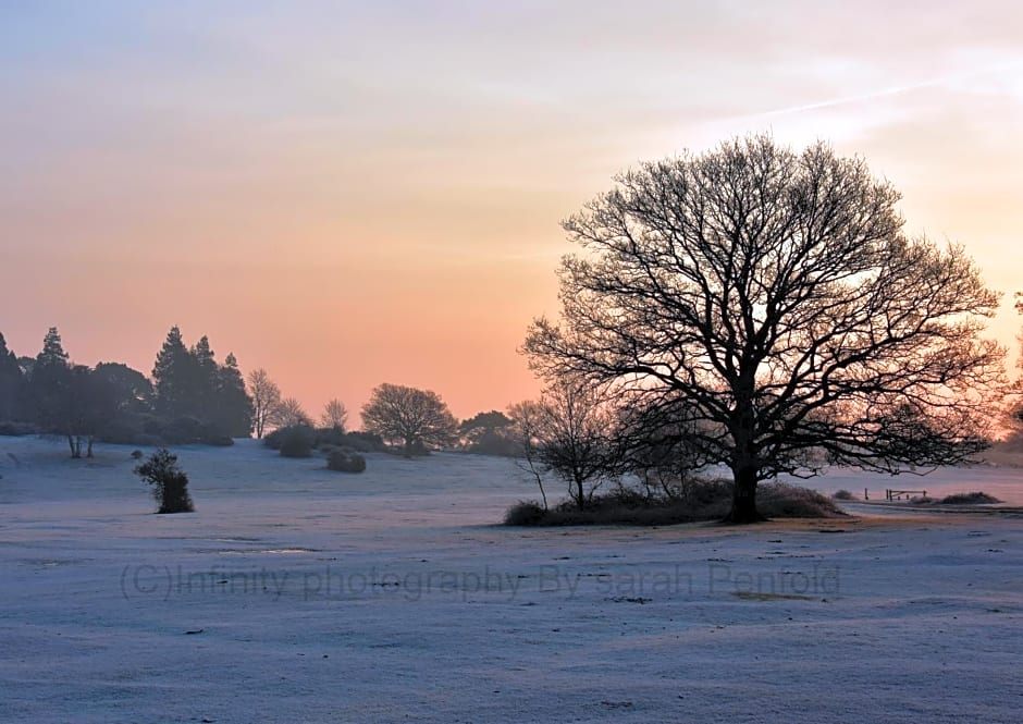Rosedale Bed and Breakfast
