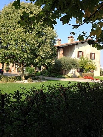 Le Rondini