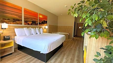 1 King Bed Deluxe Studio Suite Non-Smoking