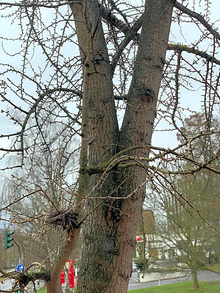 Geroweiher Doppelbettzimmer Mönchengladbach-Stadtmitte