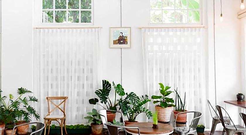 Memmoth Cafe & Hostel in Lampang