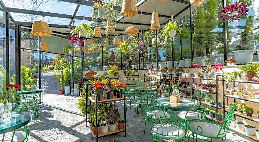 Hotel Shervani Hilltop