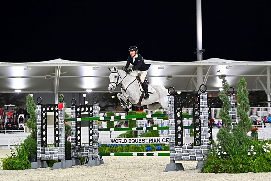 The Equestrian