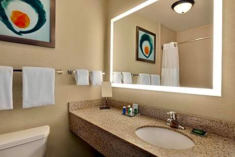 One-Bedroom King Suite with Whirlpool - Non-Smoking