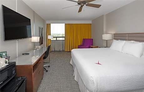 Coast King (Non-Pet Friendly)