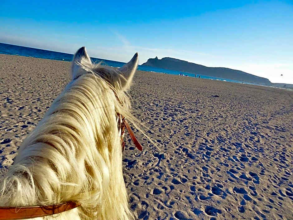 Casa Vacanze Villa Flumini