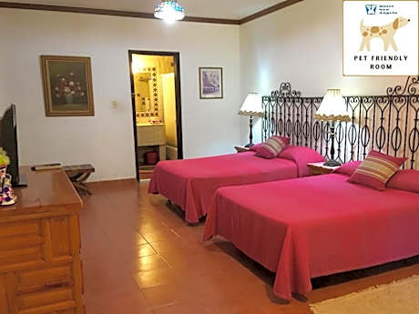 Deluxe Queen Suite