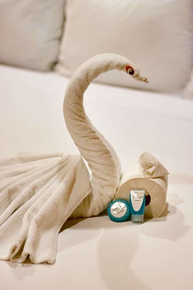 Hotel Bosque Caribe, 5th Av. Zone