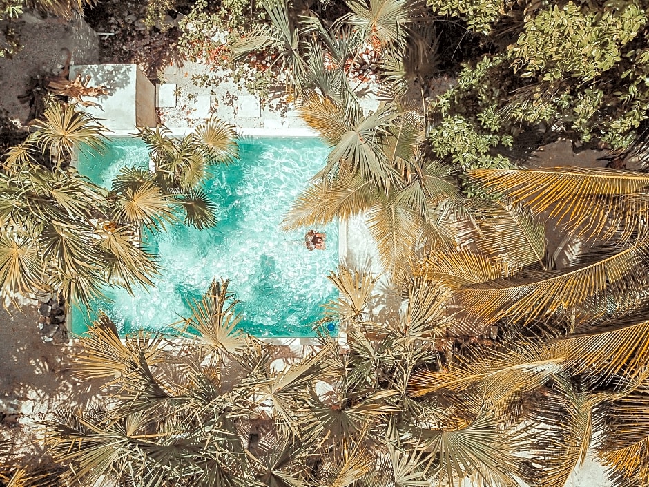 Hotel Buenavista Bacalar Jungle Experience