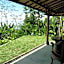 Bali Mountain Retreat