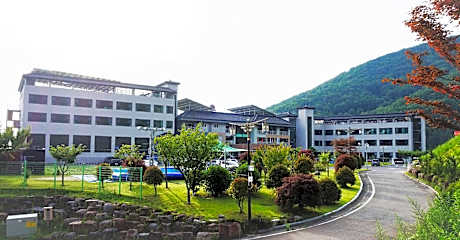 Sancheong Korean Medicine Family Hotel