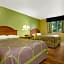 Super 8 by Wyndham Gainesville