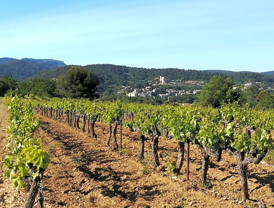 AU VILLADIOR - Vaison la Romaine
