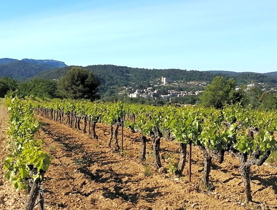 AU VILLADIOR - Vaison la Romaine