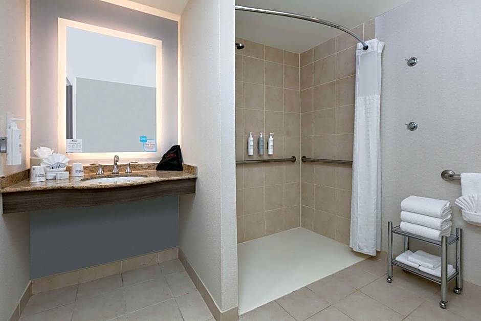 Hilton Garden Inn Dallas/Arlington