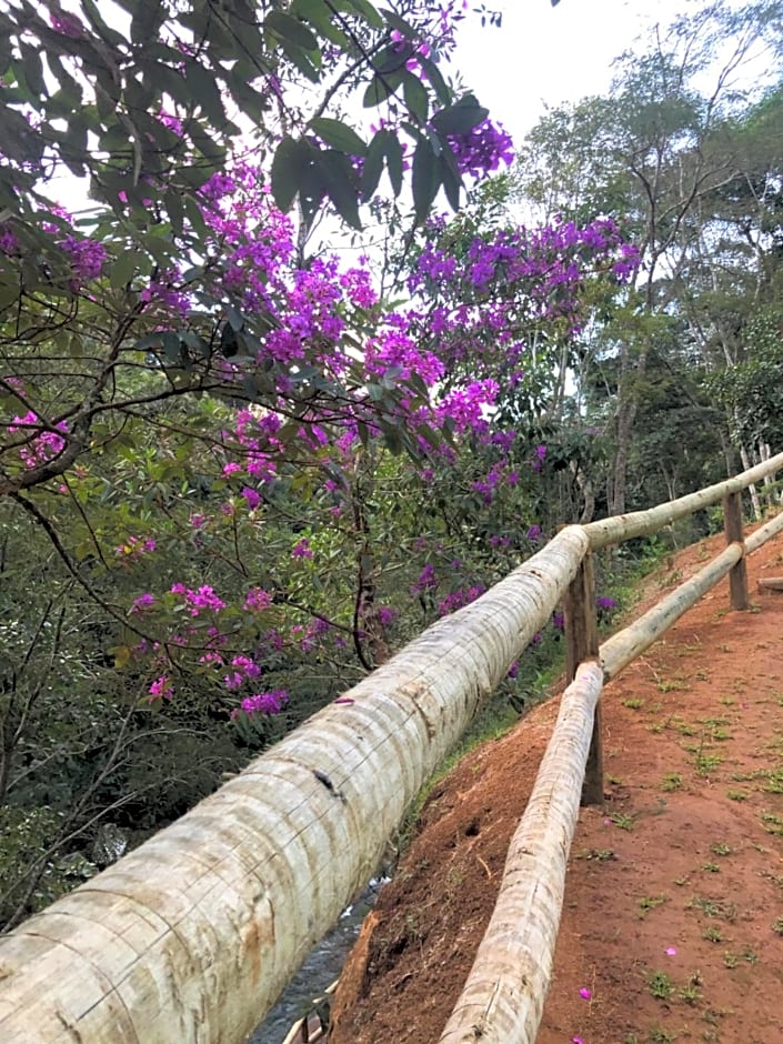 Recanto da Ruína