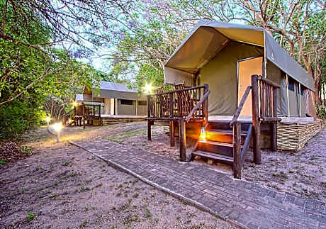 Safari Tented Room