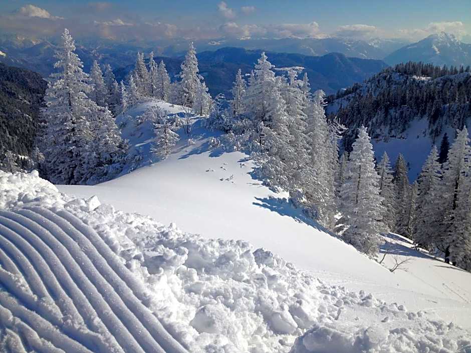 Apparthotel Garni Superior Simsseeblick
