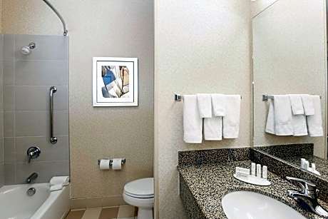 Studio, 1 King Bed with Sofa bed (1 King Bed and 1 Double Sofa Bed)