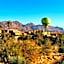 Auberge Le Festival Todra Gorge