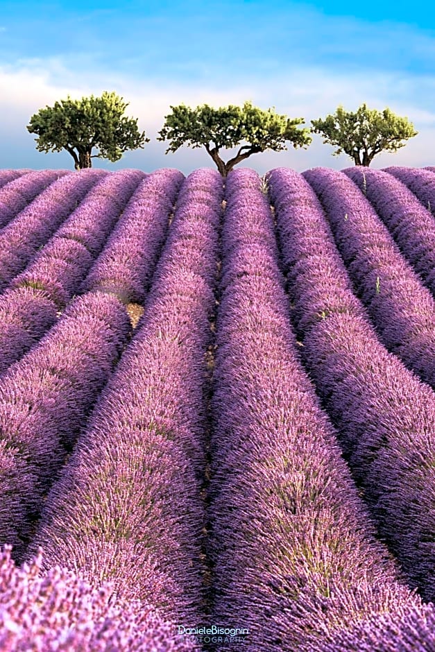 Les Terrasses de Valensole