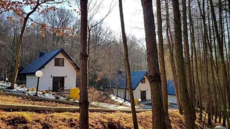 Domki Łowisko Wieniec