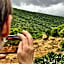 Addo Elephant Safari Lodge - Bellevue Forest Reserve