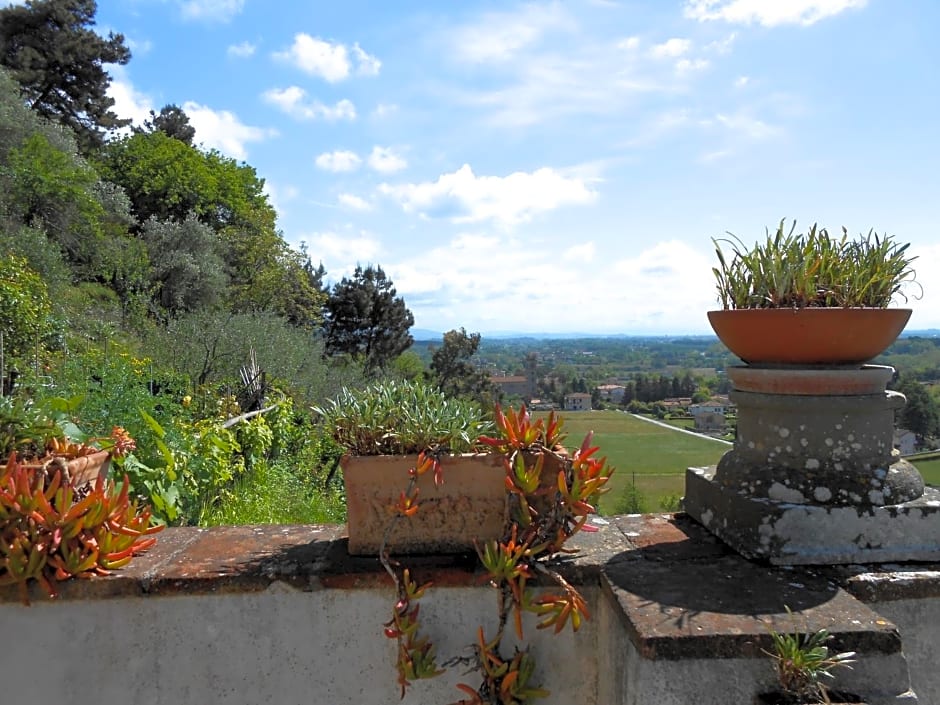 La Pieve Di Sant'Andrea